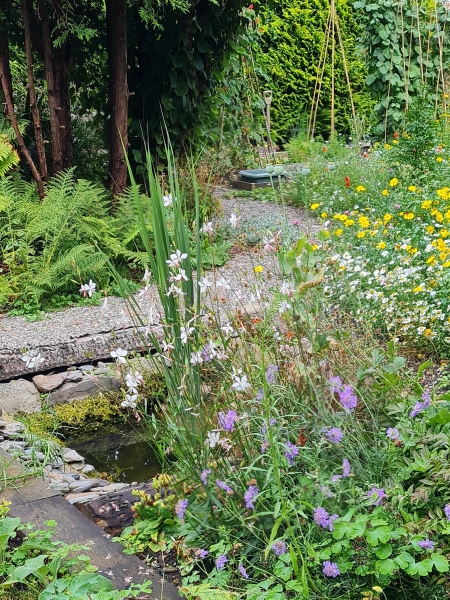Siskin Lodge Wildlife Garden
